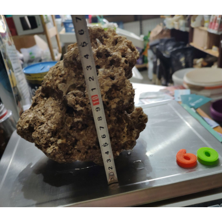 Żywa skała do akwarium morskiego - bryła nr. 60